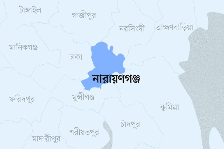 Fox attacks leave 15 injured in Narayanganj villages
