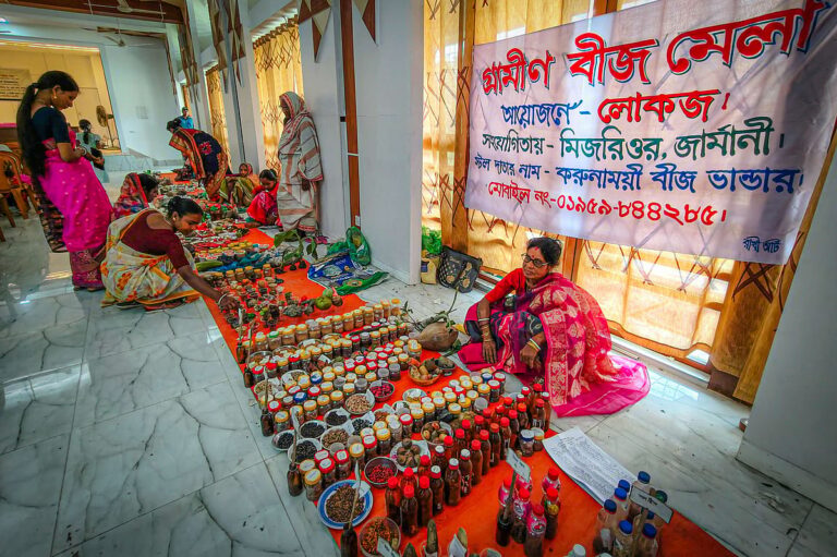 Coastal women in Bangladesh lead seed preservation movement to boost local food security