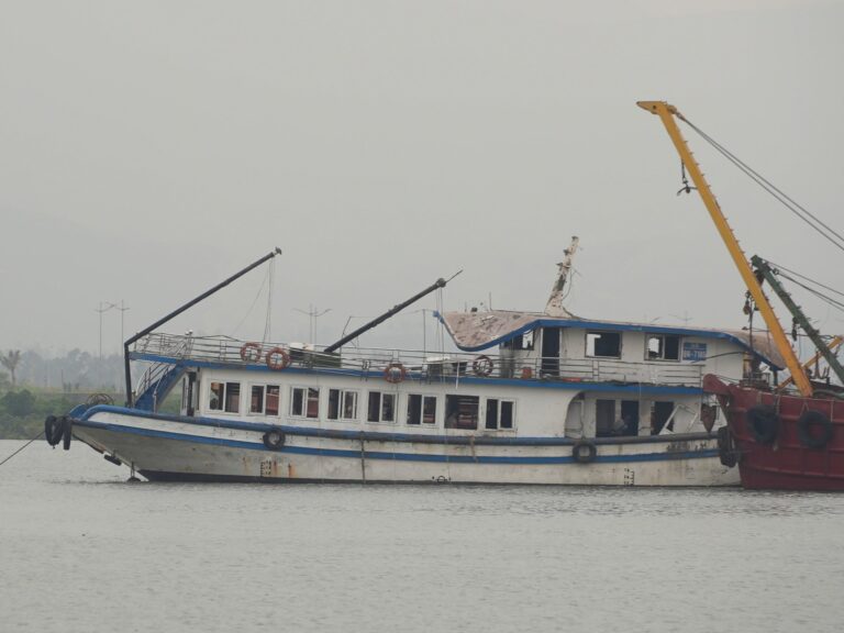 ভিয়েতনামে স্পিডবোট ডুবে ১৫ ভারতীয় পর্যটকের প্রাণহানি