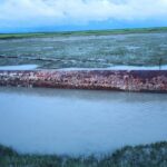 Mysterious 35-foot metal structure discovered by fishermen in Bay of Bengal