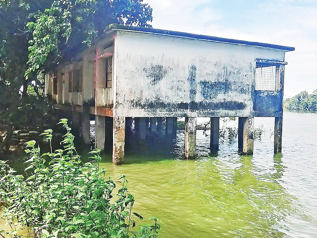 Single teacher struggles to manage 50 students at remote Sunamganj primary school