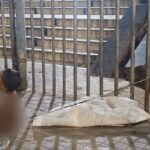 Homeless Mother Ties Toddler to Dhaka Street Railing to Ensure Safety While Scavenging