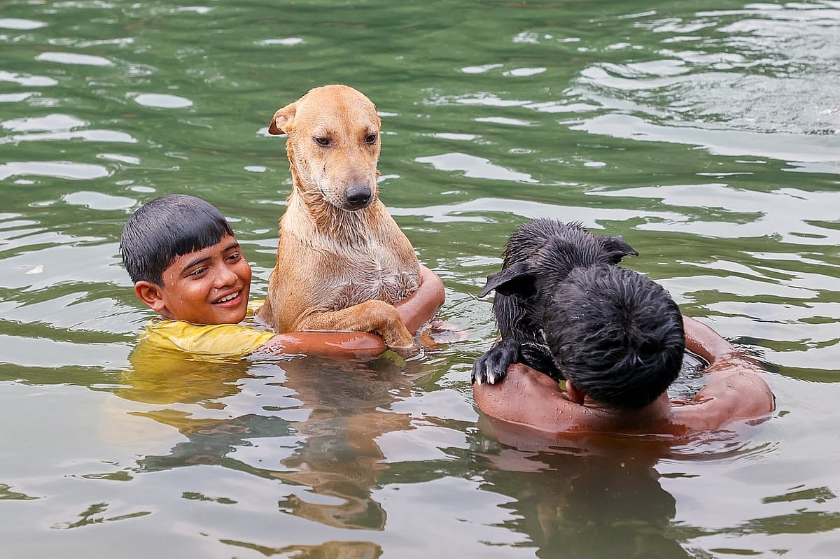 Bangladesh records lowest June rainfall in seven years amid rising temperatures