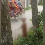 Man detained for lynching dog in Jamalpur after viral video sparks outrage