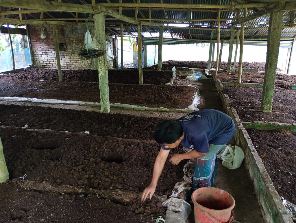 Former Bank Employee Transforms Modest Investment into Successful Organic Fertilizer Enterprise