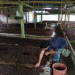 Former Bank Employee Transforms Modest Investment into Successful Organic Fertilizer Enterprise