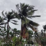 Deep depression in Bay of Bengal triggers weather alerts for Bangladesh coast