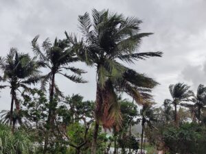 Deep depression in Bay of Bengal triggers weather alerts for Bangladesh coast