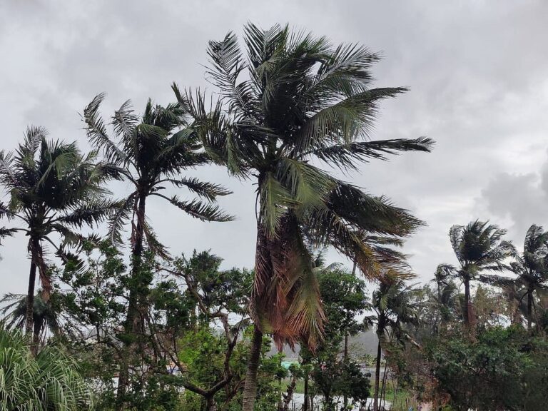 Deep depression in Bay of Bengal triggers weather alerts for Bangladesh coast