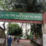 Mother dies in road accident while delivering medicine for ailing son abroad