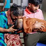 Bangladesh measles outbreak death toll surpasses 800 as infections climb