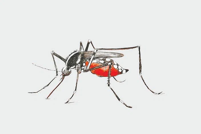 Dengue death toll reaches three in Chattogram as infections surge