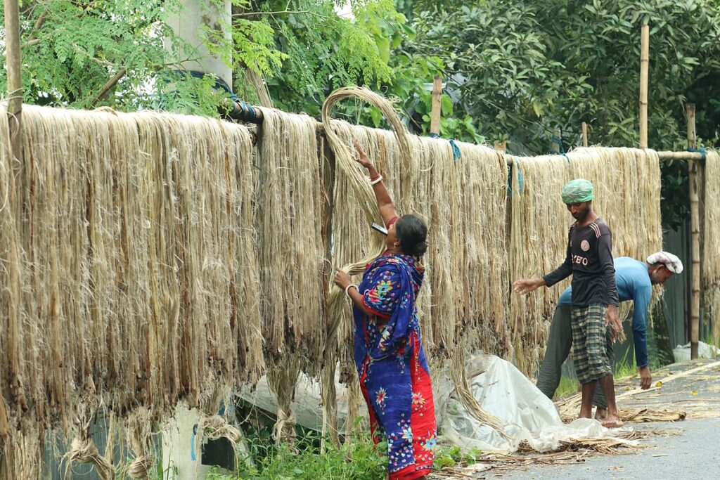 তিন বছরের সর্বোচ্চ রপ্তানিতে ঘুরে দাঁড়িয়েছে পাট খাত তবে চ্যালেঞ্জ কাঁচামালের ঊর্ধ্বমূল্য