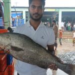 Rare 8kg Black Jewfish Fetches High Price at Kuakata Fish Market