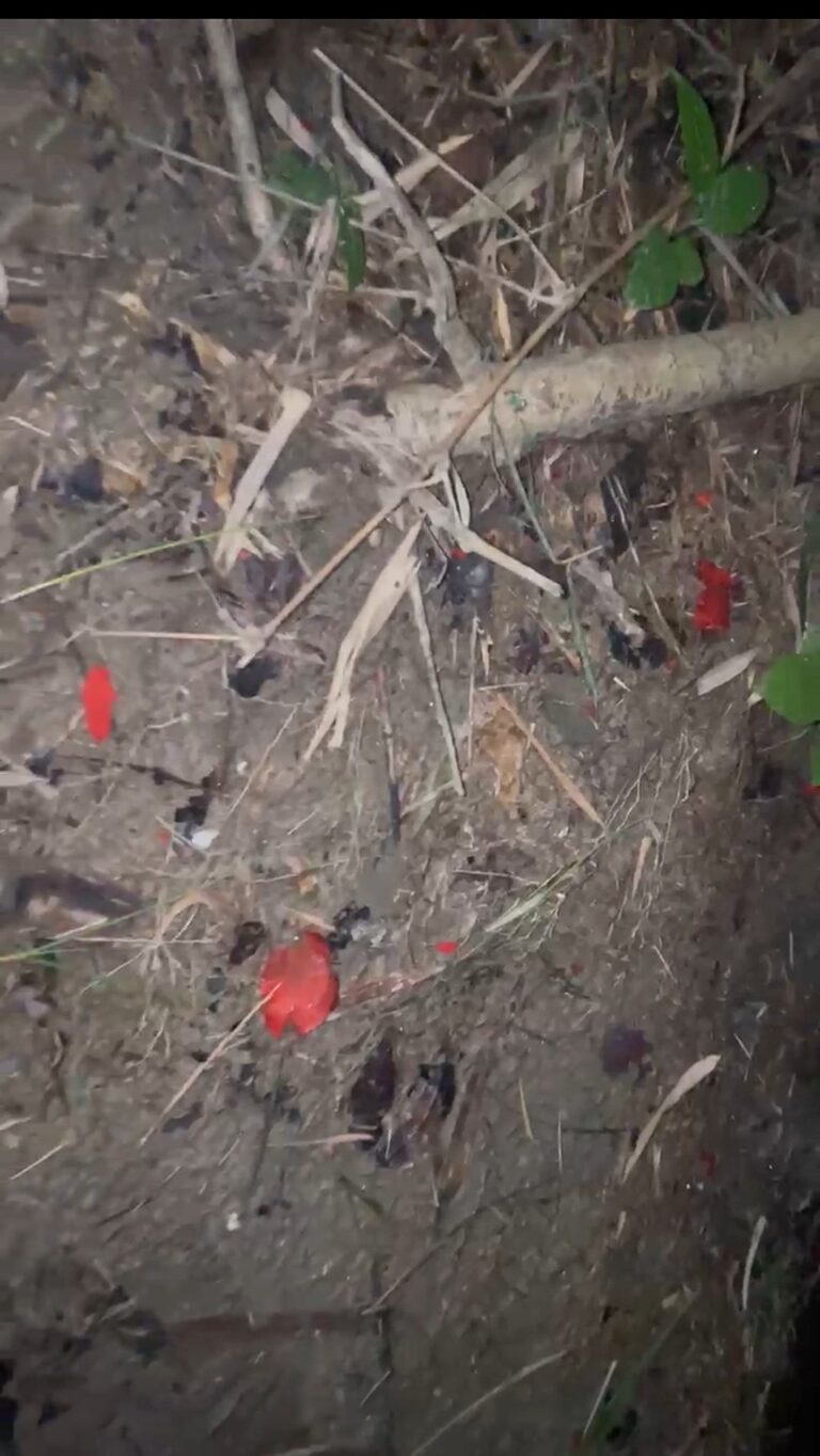 Fresh Cocktail Explosions in Shariatpur Prompt Police Investigation into Longstanding Local Feud