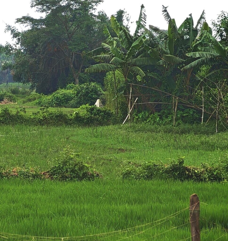 Three vanish from Joypurhat border as BGB and local accounts diverge on their whereabouts