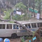 Fallen tree crushes Jagannath University bus amid heavy rains in Dhaka