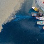 Microplastic Contamination Found in Chattogram River Fish Entering Human Food Chain