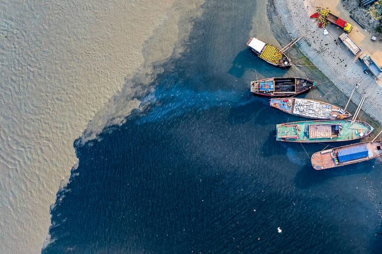 Microplastic Contamination Found in Chattogram River Fish Entering Human Food Chain