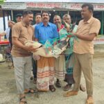 Endangered Bagair Fish Trade Flourishes at Bangladesh Ferry Terminal Despite Legal Bans
