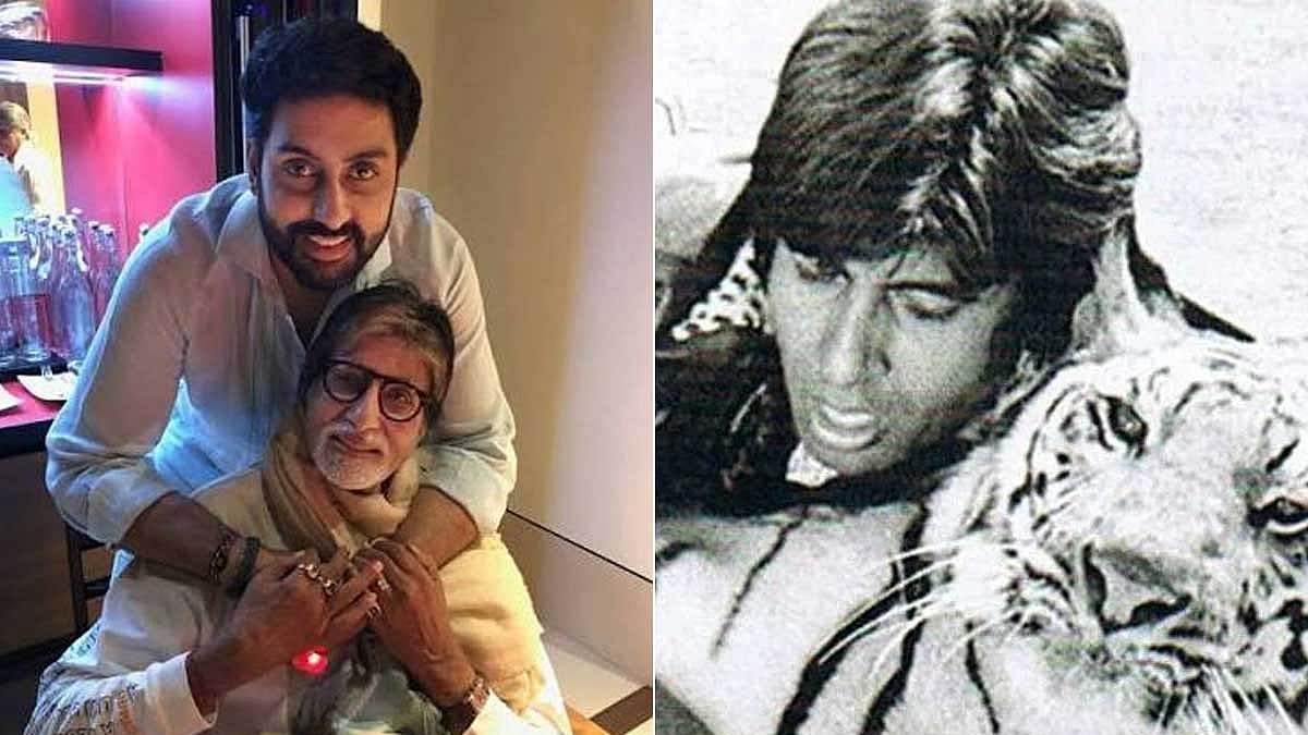 অভিষেকের জন্মের পর সত্যিকারের বাঘের মুখোমুখি অমিতাভ বচ্চন