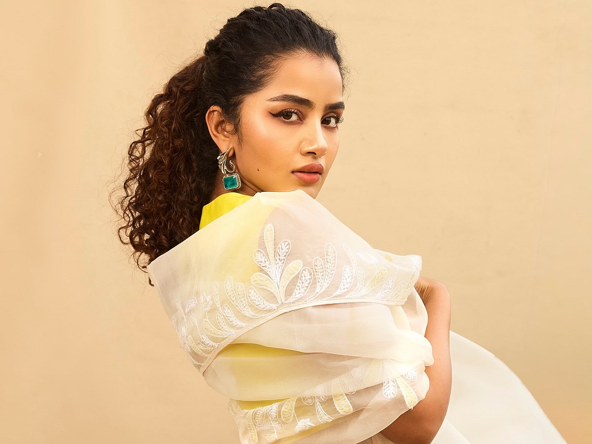 বিচ্ছেদের জল্পনা উড়িয়ে নিজের অবস্থান স্পষ্ট করলেন অনুপমা পরমেশ্বরন