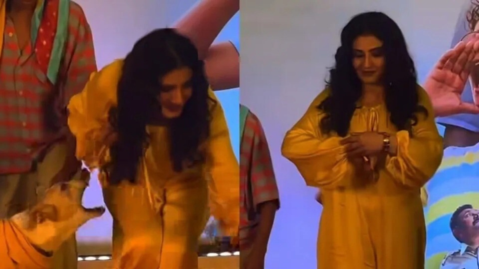 ও মাই ডগ ছবির প্রদর্শনীতে কুকুরের আক্রমণের মুখে পড়েও ধৈর্যের পরিচয় দিলেন রবিনা ট্যান্ডন