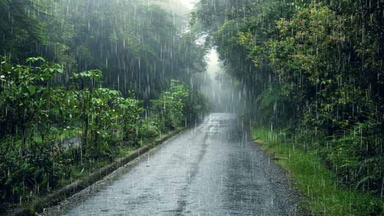 পাকিস্তানে প্রবল বর্ষণ ও বন্যায় বিপর্যস্ত জনজীবন বিচ্ছিন্ন কারাকোরাম মহাসড়ক