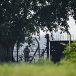 শ্রীভূমি সীমান্তে গরু পাচার রুখতে এলাকাবাসীর সহযোগিতা চাইল বিএসএফ