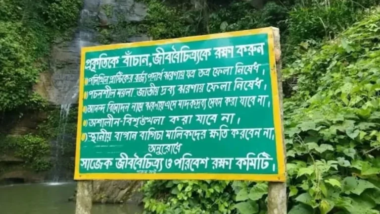 মাদক সেবন ও অনৈতিক কর্মকাণ্ডের অভিযোগে সাজেকের ‘হাজাছড়া ঝরনা’ বন্ধ ঘোষণা