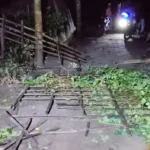 নড়িয়ায় দুপক্ষের সংঘর্ষ, জুলাই শহীদ জুনায়েতের কবরের বেড়া ভাঙচুরের অভিযোগ