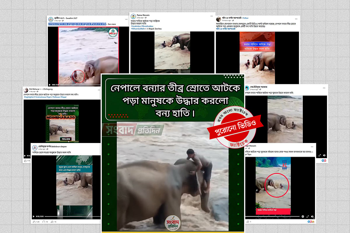 Viral Video Showing Elephant Rescuing Man in Flood Is Not Linked to Recent Nepal Disaster
