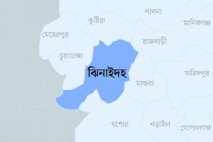 Farmer suffers severed leg in brutal attack by relative in Jhenaidah Sadar Upazila