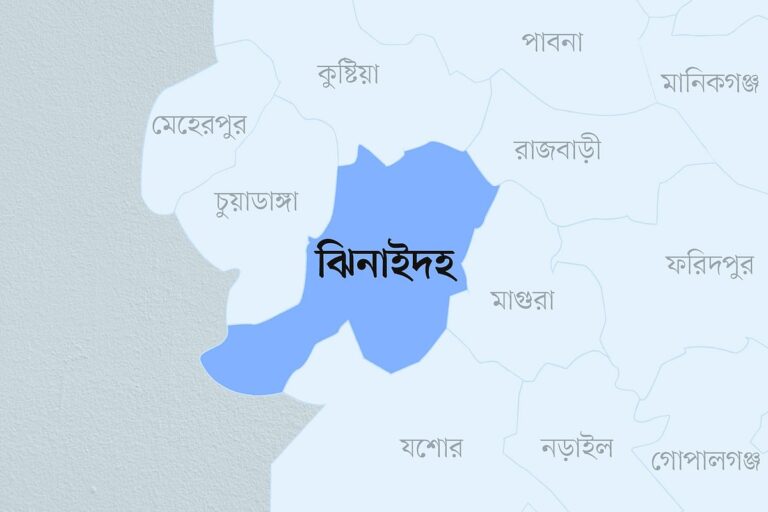 Farmer suffers severed leg in brutal attack by relative in Jhenaidah Sadar Upazila