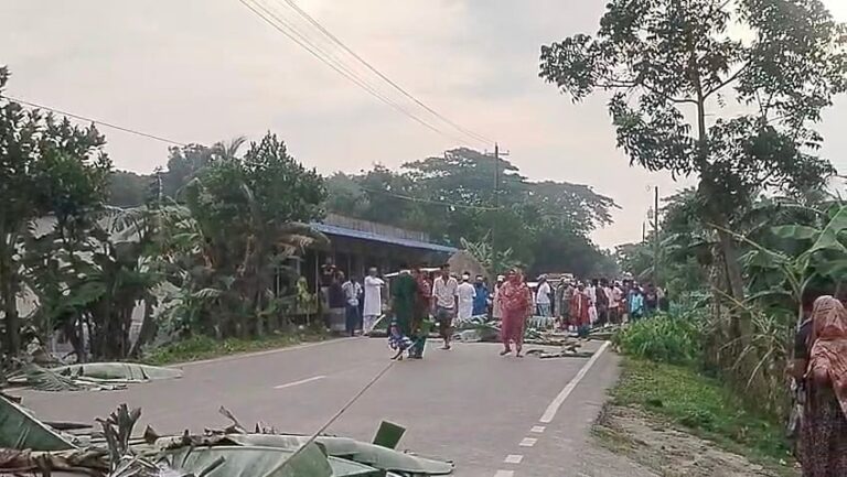 Mentally Ill Man Blocks Mymensingh Highway With Knife and Banana Trees