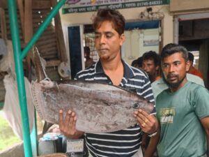 Rare Slender Sunfish Caught by Fishermen in Bay of Bengal Near Kuakata