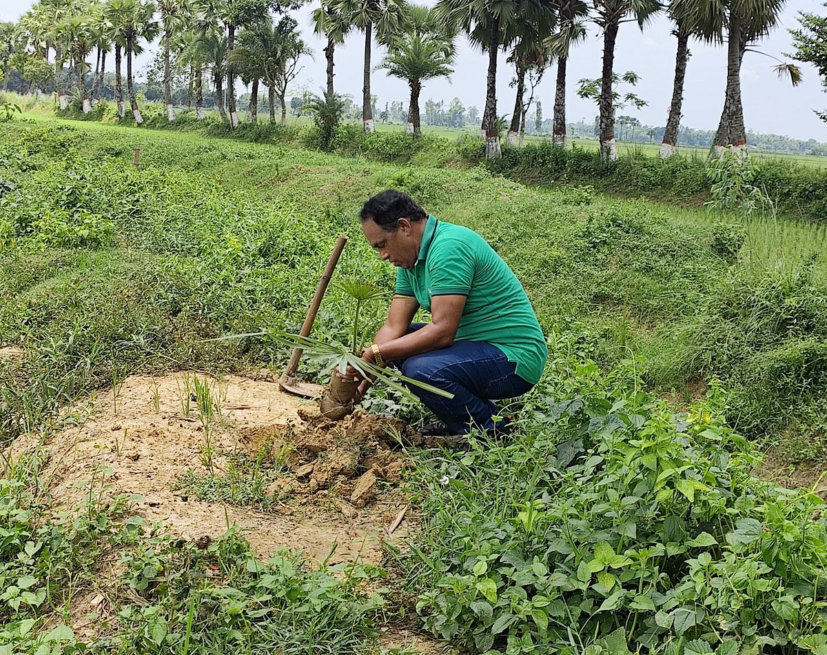 Bangladeshi Educator Plants Over 60,000 Trees Across Four Decades of Environmental Advocacy