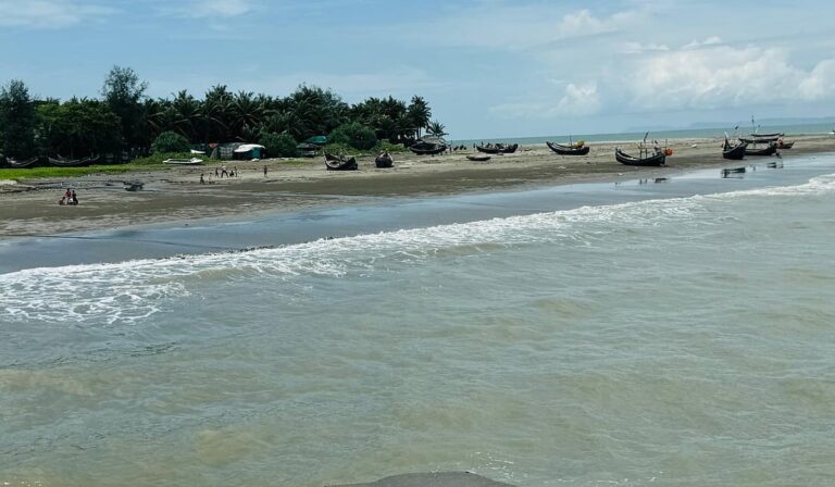 Saint Martin Island Ecological Restoration Comes at High Economic Cost for Local Residents