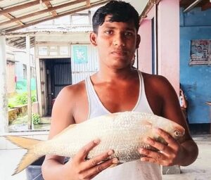 Rare Two-Kilogram Hilsa Fetches High Price at Monpura Fish Market Amid Seasonal Scarcity