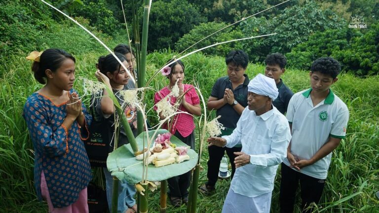 Bandarban youths cultivate crops exclusively for birds and wildlife to combat food scarcity