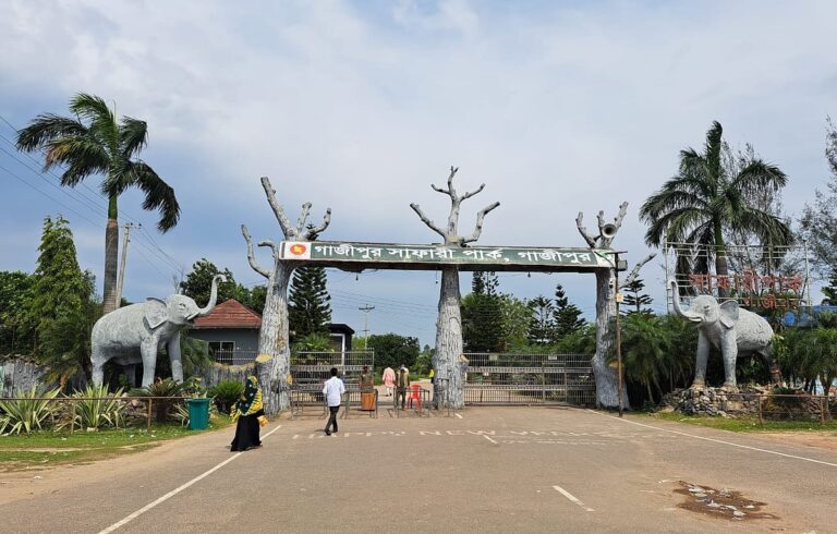 Forest department staff and tourists clash at Gazipur Safari Park leaving several injured