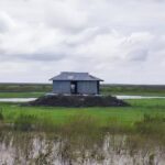 Sandwip residents reclaim ancestral land on newly emerged Dobachar as agricultural activity expands