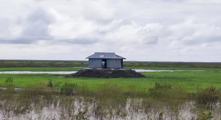 Sandwip residents reclaim ancestral land on newly emerged Dobachar as agricultural activity expands