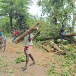 Protest held in Sunamganj over mass felling of trees along roadside