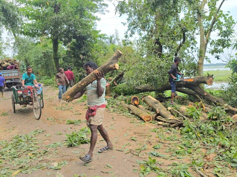 Protest held in Sunamganj over mass felling of trees along roadside