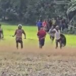 Nine injured and eight homes vandalized in land dispute clash in Faridpur Saltha