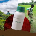 Surge in Paraquat Poisoning Deaths Sparks Urgent Calls to Ban Toxic Herbicide in Bangladesh