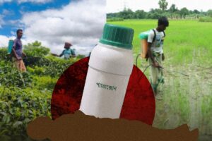 Surge in Paraquat Poisoning Deaths Sparks Urgent Calls to Ban Toxic Herbicide in Bangladesh