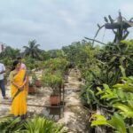 Sherpur Municipality Rooftop Garden Wins National Award for Environmental Excellence