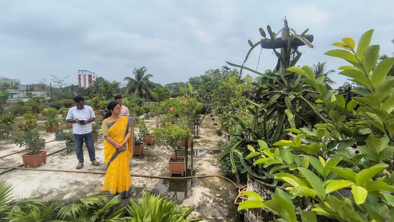 Sherpur Municipality Rooftop Garden Wins National Award for Environmental Excellence